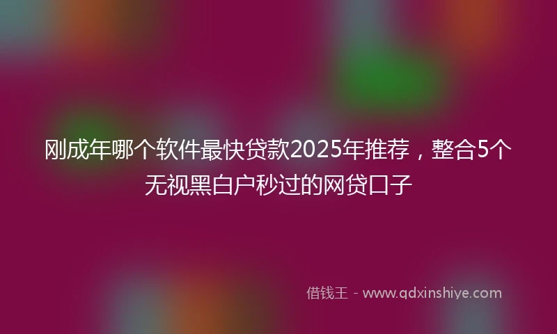 刚成年哪个软件最快贷款2025年推荐，整合5个无视黑白户秒过的网贷口子