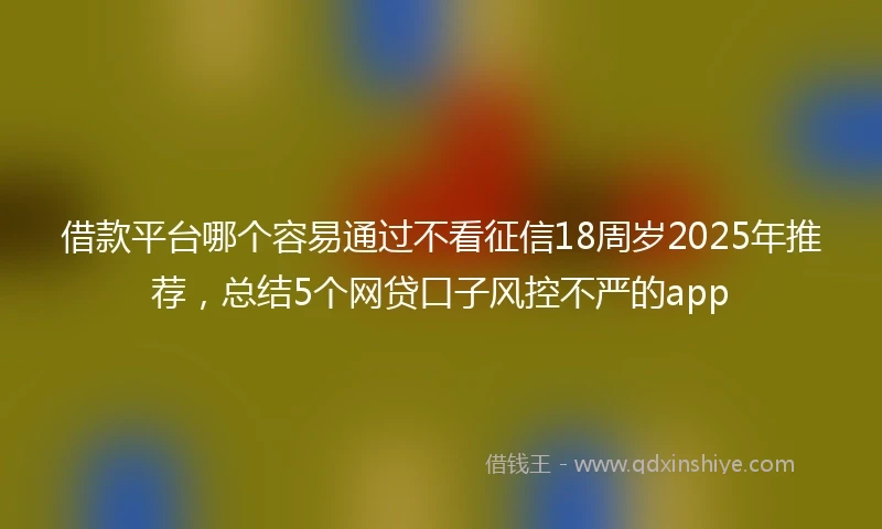 借款平台哪个容易通过不看征信18周岁2025年推荐，总结5个网贷口子风控不严的app