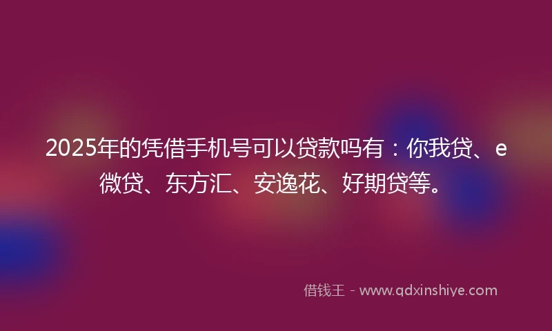 2025年的凭借手机号可以贷款吗有：你我贷、e微贷、东方汇、安逸花、好期贷等。