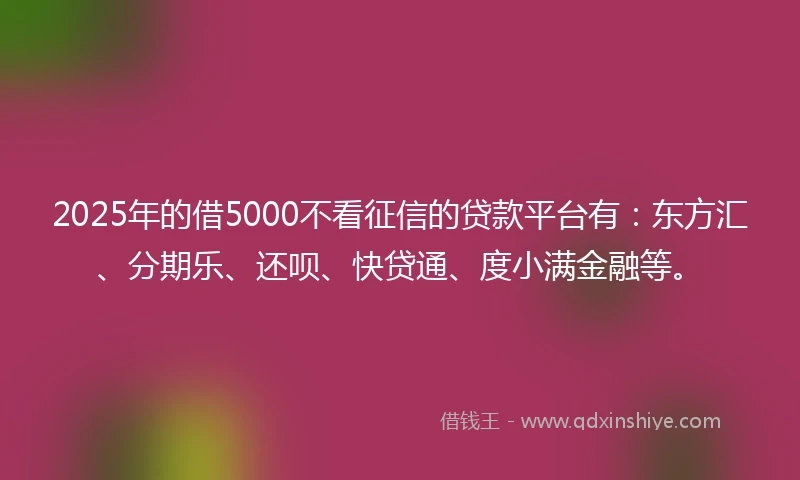 2025年的借5000不看征信的贷款平台有：东方汇、分期乐、还呗、快贷通、度小满金融等。
