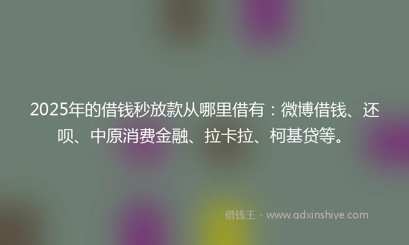 2025年的借钱秒放款从哪里借有：微博借钱、还呗、中原消费金融、拉卡拉、柯基贷等。