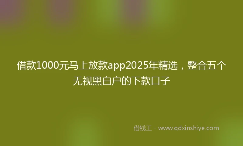 借款1000元马上放款app2025年精选，整合五个无视黑白户的下款口子