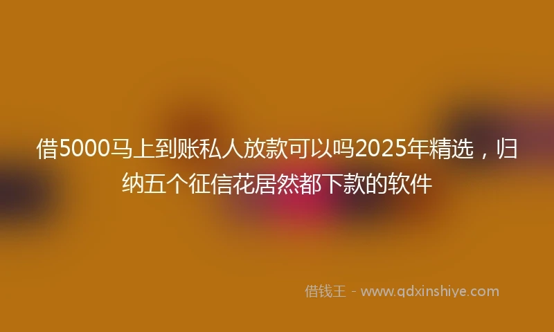 借5000马上到账私人放款可以吗2025年精选，归纳五个征信花居然都下款的软件