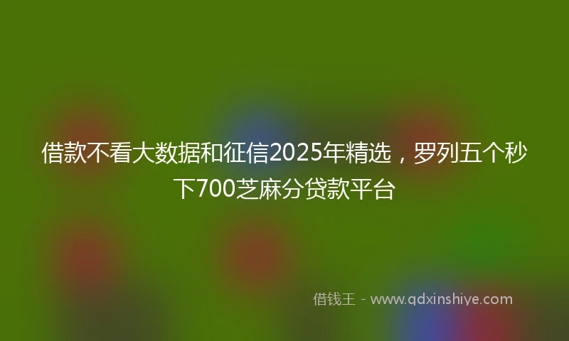 借款不看大数据和征信2025年精选，罗列五个秒下700芝麻分贷款平台