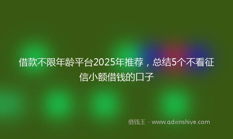 借款不限年龄平台2025年推荐，总结5个不看征信小额借钱的口子