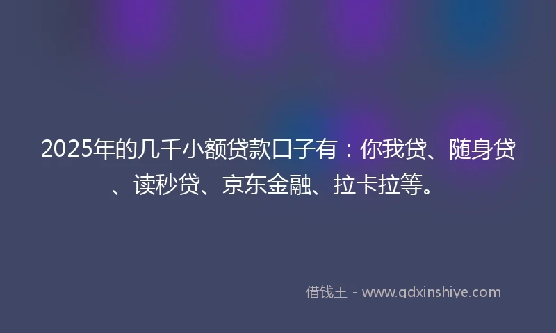 2025年的几千小额贷款口子有：你我贷、随身贷、读秒贷、京东金融、拉卡拉等。
