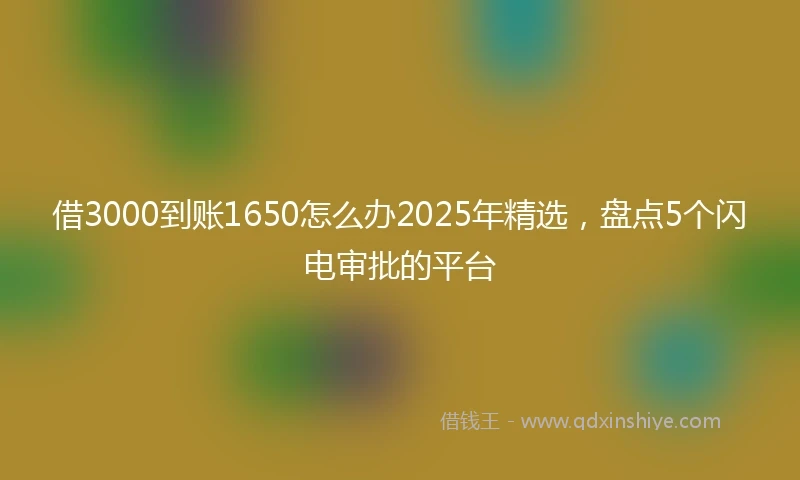 借3000到账1650怎么办2025年精选，盘点5个闪电审批的平台