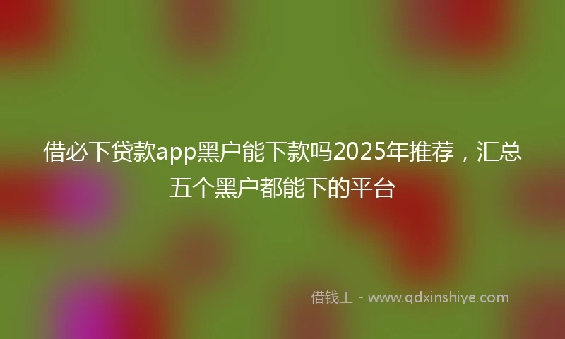 借必下贷款app黑户能下款吗2025年推荐，汇总五个黑户都能下的平台