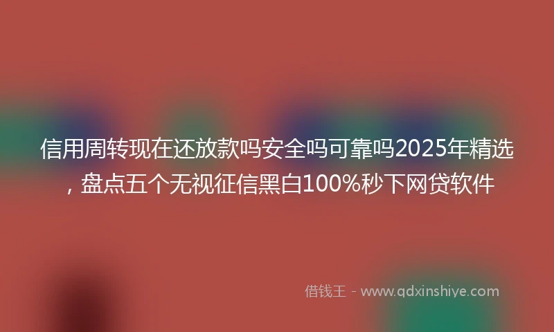 信用周转现在还放款吗安全吗可靠吗2025年精选，盘点五个无视征信黑白100%秒下网贷软件