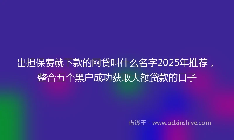 出担保费就下款的网贷叫什么名字2025年推荐，整合五个黑户成功获取大额贷款的口子