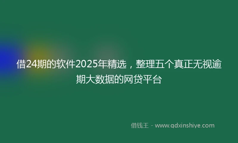 借24期的软件2025年精选，整理五个真正无视逾期大数据的网贷平台