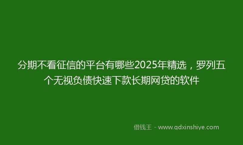 分期不看征信的平台有哪些2025年精选，罗列五个无视负债快速下款长期网贷的软件