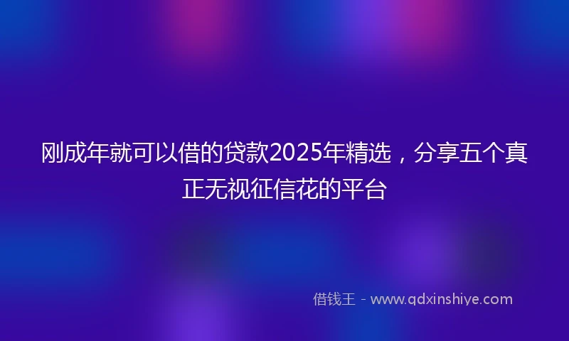 刚成年就可以借的贷款2025年精选，分享五个真正无视征信花的平台