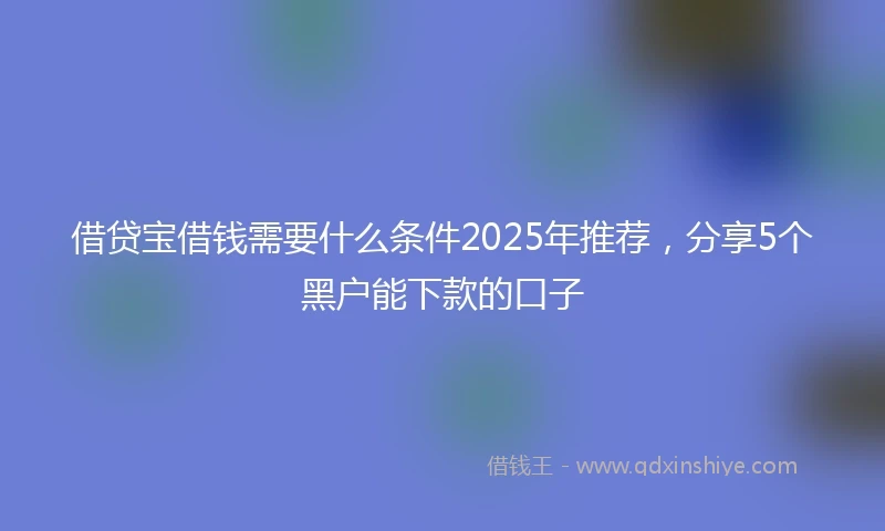 借贷宝借钱需要什么条件2025年推荐，分享5个黑户能下款的口子