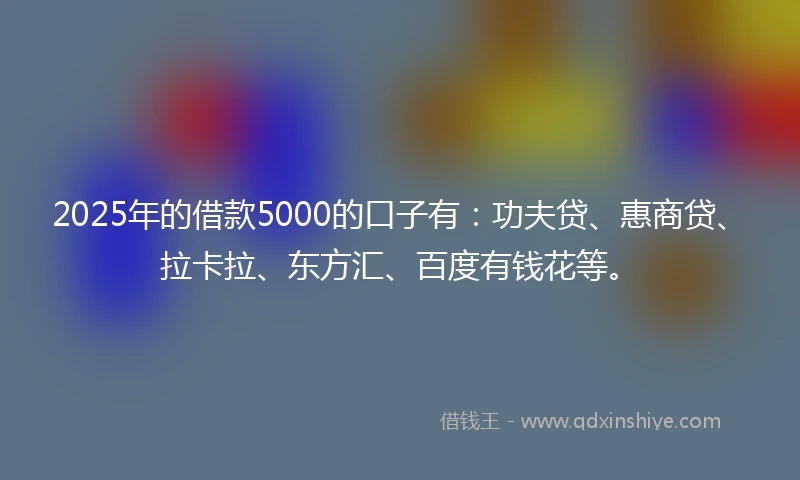 2025年的借款5000的口子有：功夫贷、惠商贷、拉卡拉、东方汇、百度有钱花等。