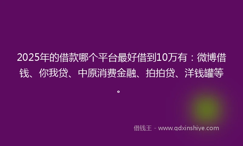 2025年的借款哪个平台最好借到10万有：微博借钱、你我贷、中原消费金融、拍拍贷、洋钱罐等。