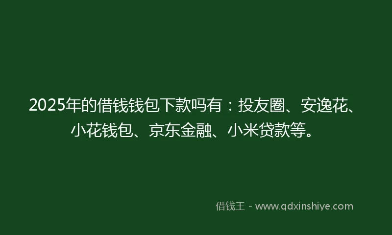 2025年的借钱钱包下款吗有：投友圈、安逸花、小花钱包、京东金融、小米贷款等。