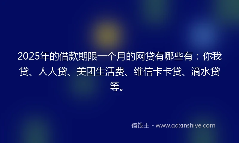 2025年的借款期限一个月的网贷有哪些有：你我贷、人人贷、美团生活费、维信卡卡贷、滴水贷等。