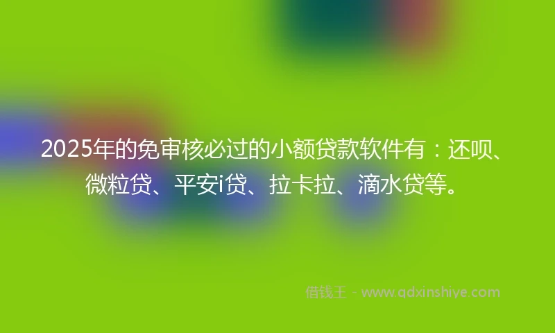 2025年的免审核必过的小额贷款软件有：还呗、微粒贷、平安i贷、拉卡拉、滴水贷等。