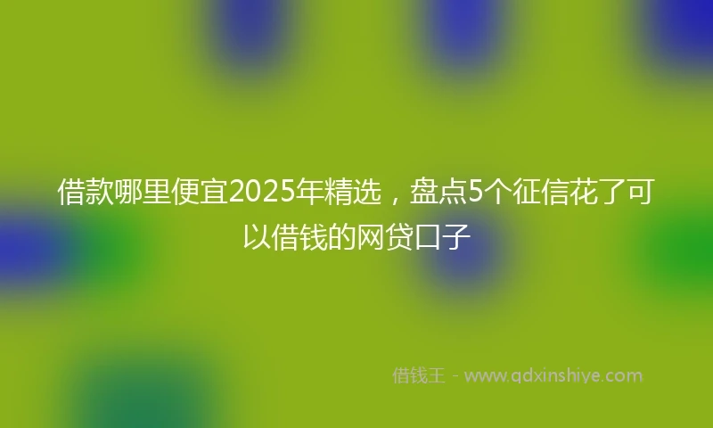 借款哪里便宜2025年精选，盘点5个征信花了可以借钱的网贷口子