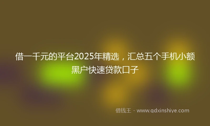 借一千元的平台2025年精选，汇总五个手机小额黑户快速贷款口子