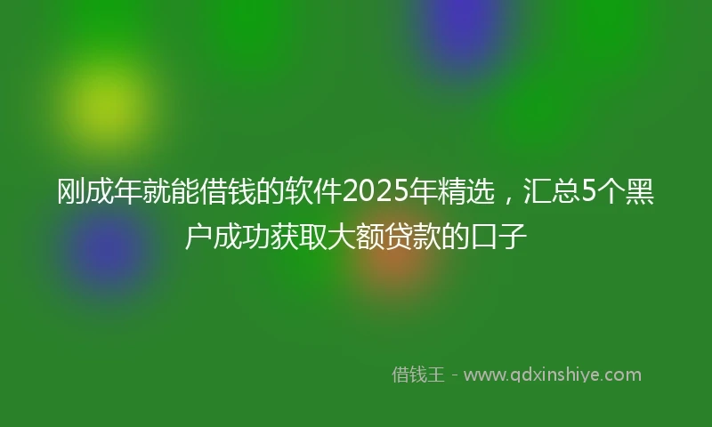 刚成年就能借钱的软件2025年精选，汇总5个黑户成功获取大额贷款的口子