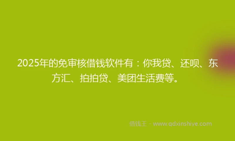 2025年的免审核借钱软件有：你我贷、还呗、东方汇、拍拍贷、美团生活费等。