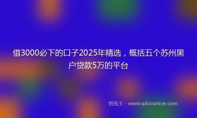 借3000必下的口子2025年精选，概括五个苏州黑户贷款5万的平台