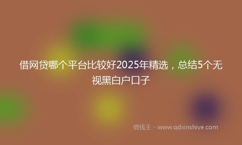 借网贷哪个平台比较好2025年精选，总结5个无视黑白户口子