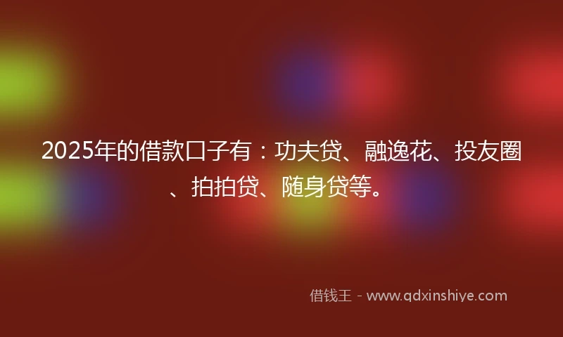 2025年的借款口子有：功夫贷、融逸花、投友圈、拍拍贷、随身贷等。