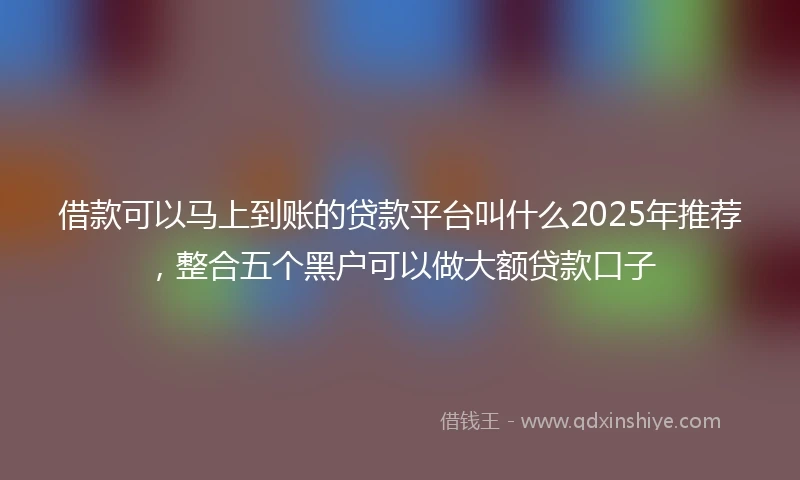 借款可以马上到账的贷款平台叫什么2025年推荐,整合五个黑户可以做大额贷款口子