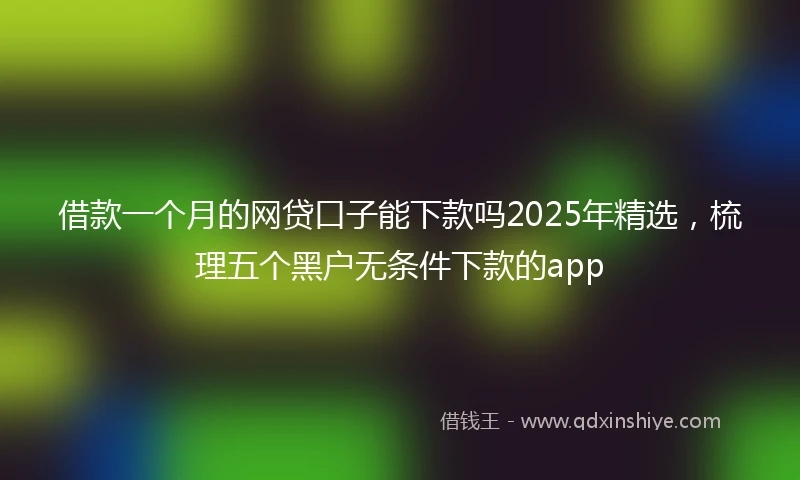 借款一个月的网贷口子能下款吗2025年精选，梳理五个黑户无条件下款的app