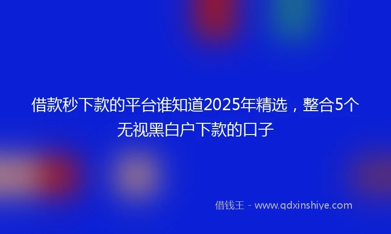借款秒下款的平台谁知道2025年精选，整合5个无视黑白户下款的口子