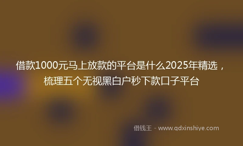 借款1000元马上放款的平台是什么2025年精选，梳理五个无视黑白户秒下款口子平台