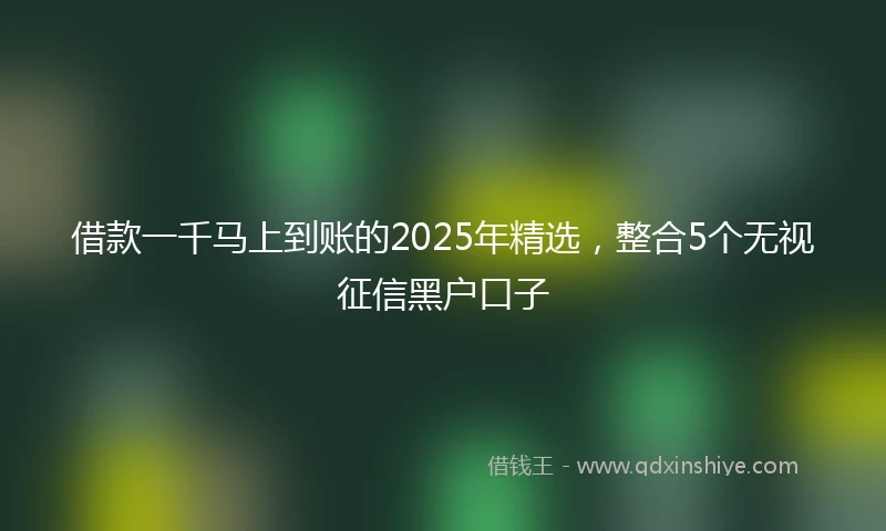 借款一千马上到账的2025年精选，整合5个无视征信黑户口子