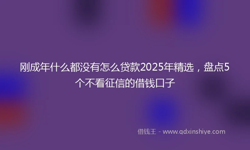 刚成年什么都没有怎么贷款2025年精选，盘点5个不看征信的借钱口子