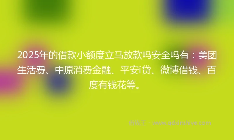 2025年的借款小额度立马放款吗安全吗有：美团生活费、中原消费金融、平安i贷、微博借钱、百度有钱花等。