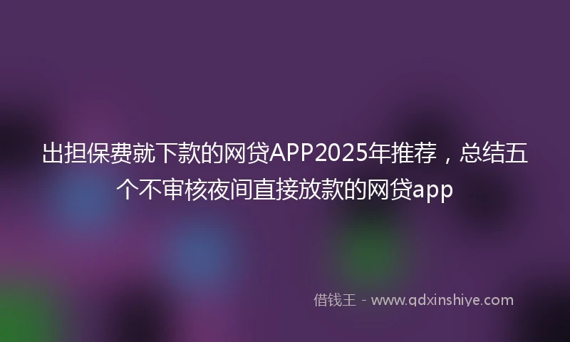 出担保费就下款的网贷APP2025年推荐，总结五个不审核夜间直接放款的网贷app