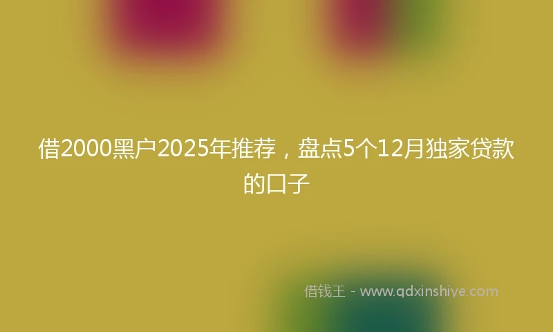借2000黑户2025年推荐，盘点5个12月独家贷款的口子