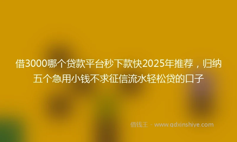 借3000哪个贷款平台秒下款快2025年推荐，归纳五个急用小钱不求征信流水轻松贷的口子
