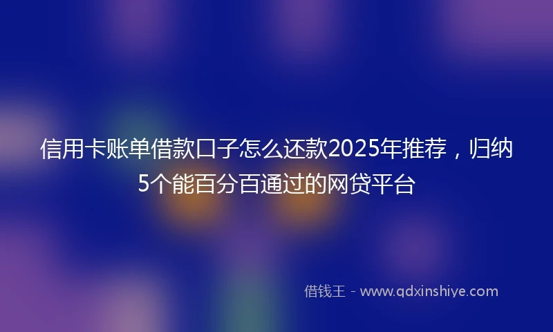 信用卡账单借款口子怎么还款2025年推荐，归纳5个能百分百通过的网贷平台