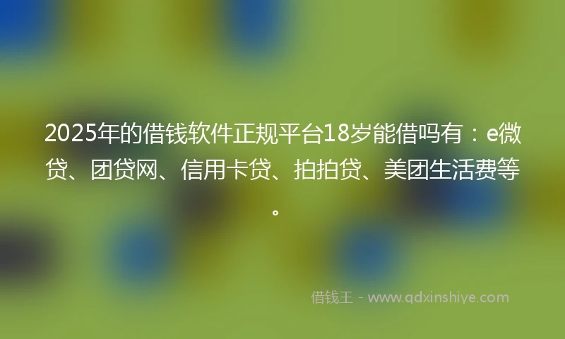 2025年的借钱软件正规平台18岁能借吗有：e微贷、团贷网、信用卡贷、拍拍贷、美团生活费等。