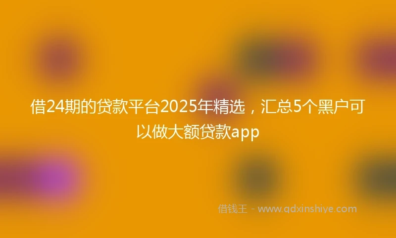 借24期的贷款平台2025年精选，汇总5个黑户可以做大额贷款app