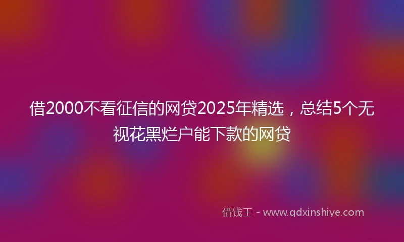 借2000不看征信的网贷2025年精选，总结5个无视花黑烂户能下款的网贷