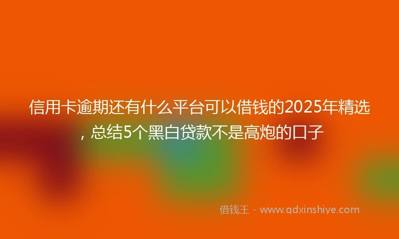 信用卡逾期还有什么平台可以借钱的2025年精选，总结5个黑白贷款不是高炮的口子