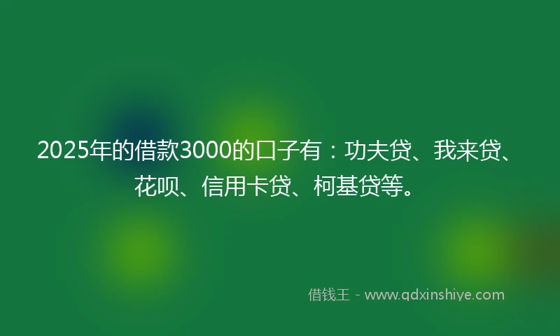 2025年的借款3000的口子有：功夫贷、我来贷、花呗、信用卡贷、柯基贷等。