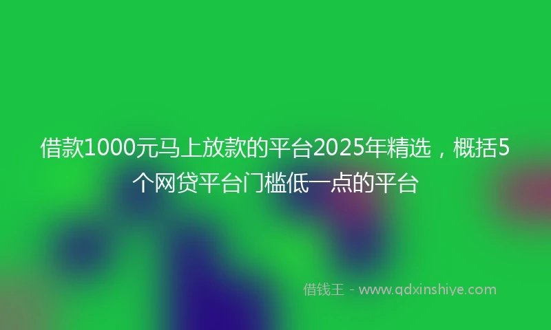借款1000元马上放款的平台2025年精选，概括5个网贷平台门槛低一点的平台