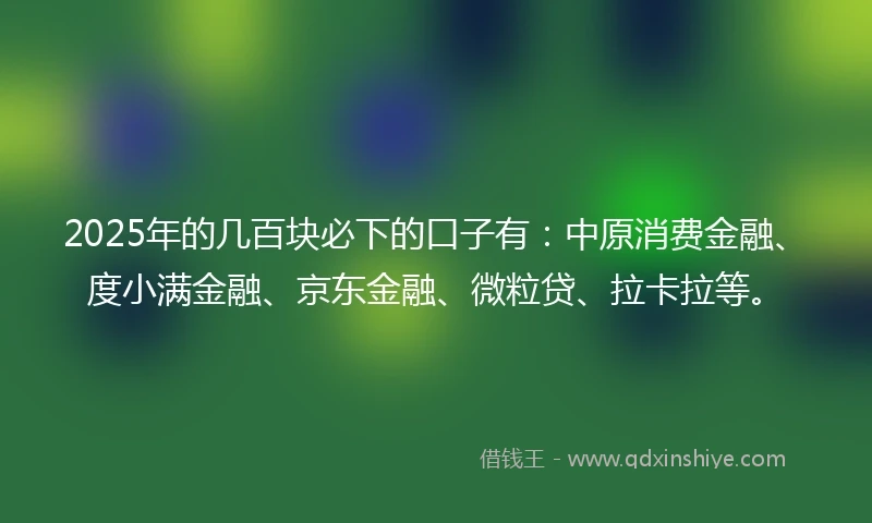 2025年的几百块必下的口子有：中原消费金融、度小满金融、京东金融、微粒贷、拉卡拉等。