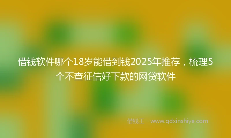 借钱软件哪个18岁能借到钱2025年推荐，梳理5个不查征信好下款的网贷软件