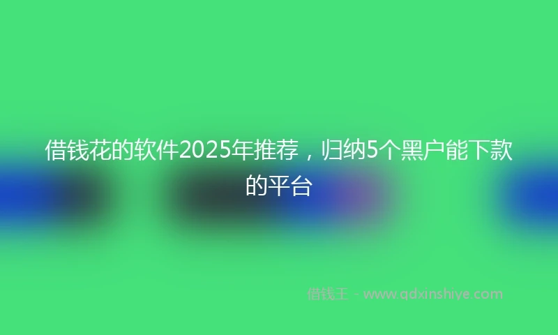 借钱花的软件2025年推荐，归纳5个黑户能下款的平台